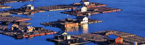 九游官网- 阿雅克肖海岛主场爆满，独特地理位置成旅游打卡点  