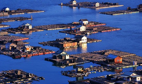 九游官网- 阿雅克肖海岛主场爆满，独特地理位置成旅游打卡点  